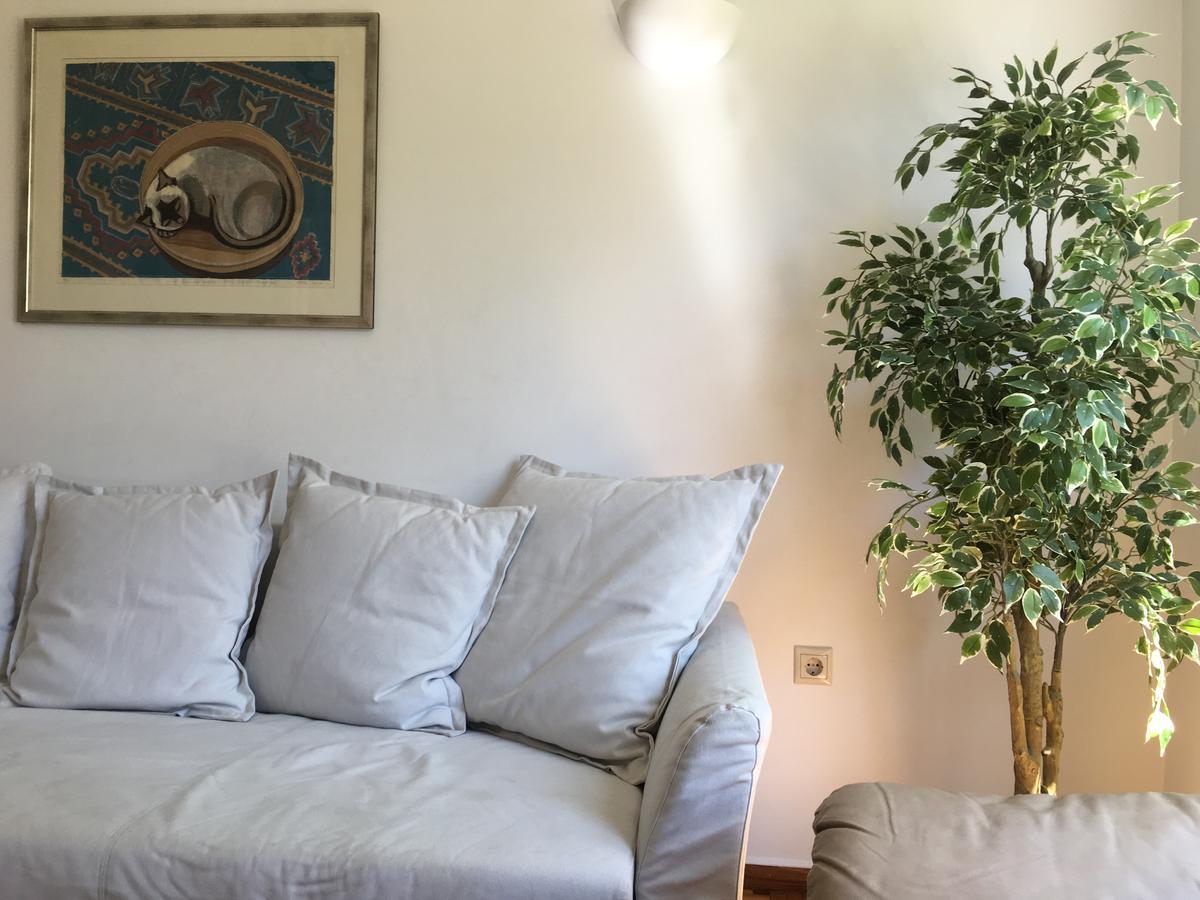 Central 5 Room Apartment Athena Bagian luar foto